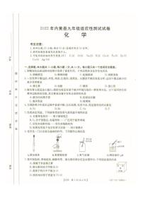 2022年河南省安阳市内黄县九年级适应性测试试卷化学试题