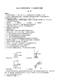 2022年湖南省岳阳市四区三十五校中考模拟化学试题(word版含答案)