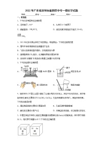 2022年广东省深圳市盐田区中考一模化学试题(word版含答案)