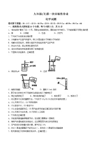 2022年重庆市渝中区巴蜀中学中考一模化学试题(word版无答案)