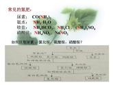 京改版九年级下册化学 12.3化学肥料 课件