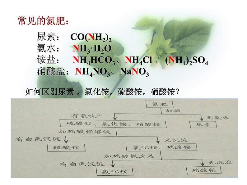 京改版九年级下册化学 12.3化学肥料 课件第5页