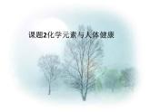 魯教版九年級下冊化學 10.2化學元素與人體健康 課件