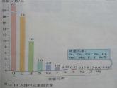 鲁教版九年级下册化学 10.2化学元素与人体健康 课件