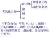 鲁教版九年级下册化学 10.1食物中的有机物 课件