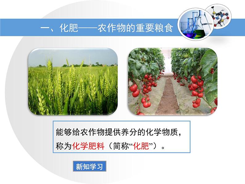 鲁教版九年级下册化学 11.3化学与农业生产 课件第5页