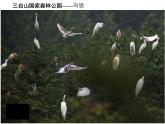魯教版九年級(jí)下冊(cè)化學(xué) 11.4化學(xué)與環(huán)境保護(hù) 課件