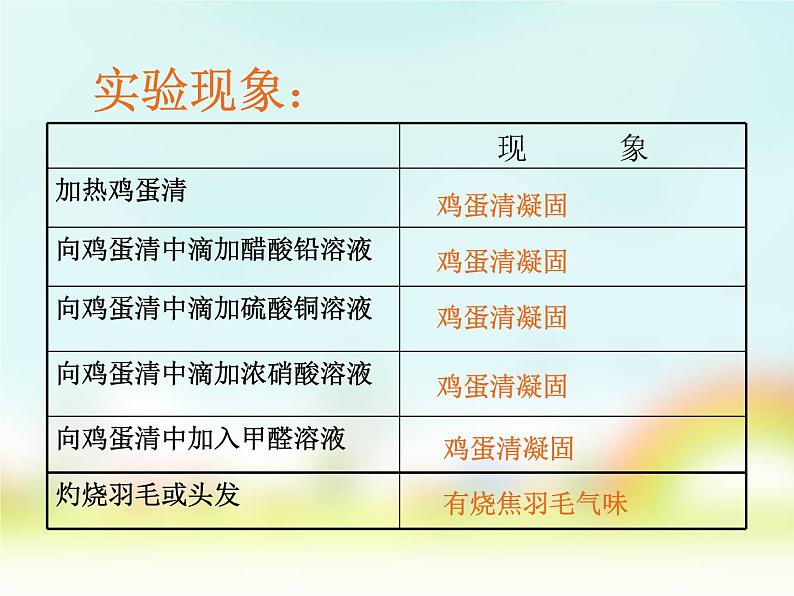 鲁教版九年级下册化学 10.3远离有毒物质 课件03