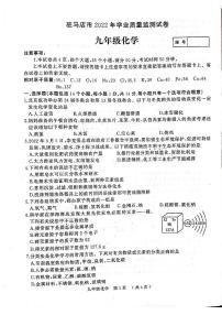 2022河南省驻马店市二模化学试卷及答案