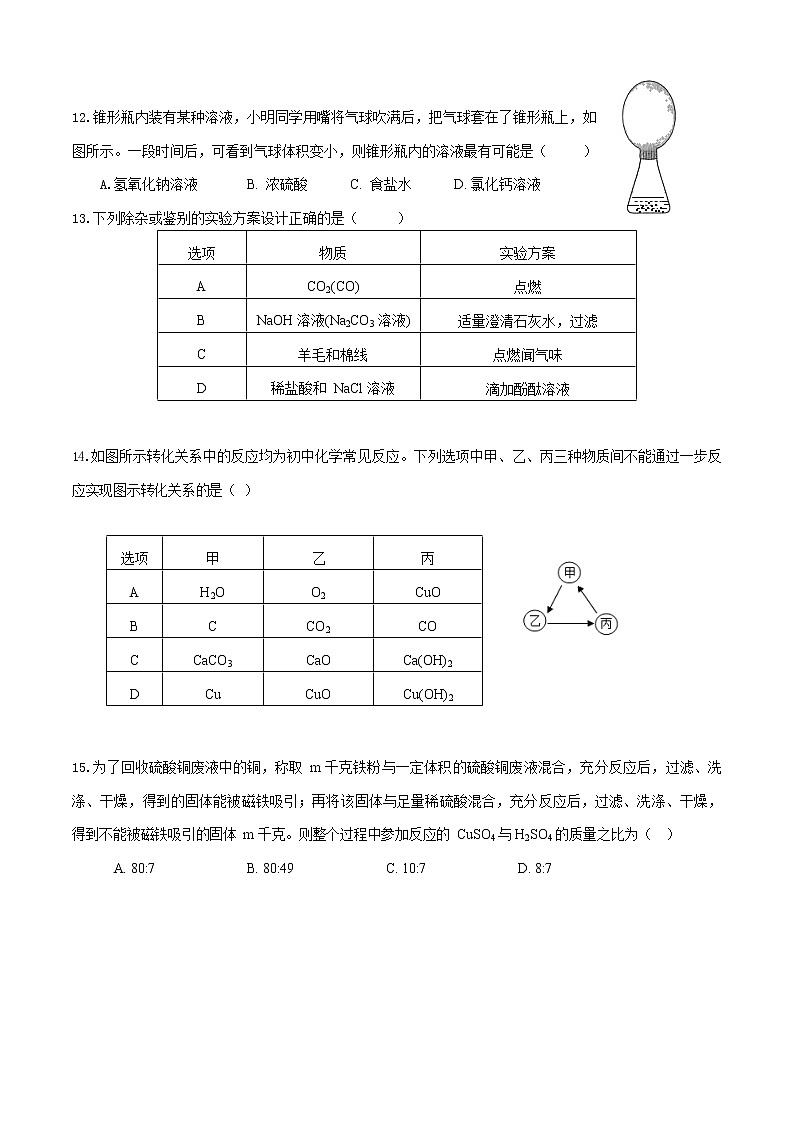2022年天津市河东区育才中学中考模拟化学试卷（四）第3页