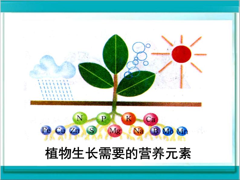 沪教版九下化学 7.3几种重要的盐 课件第6页