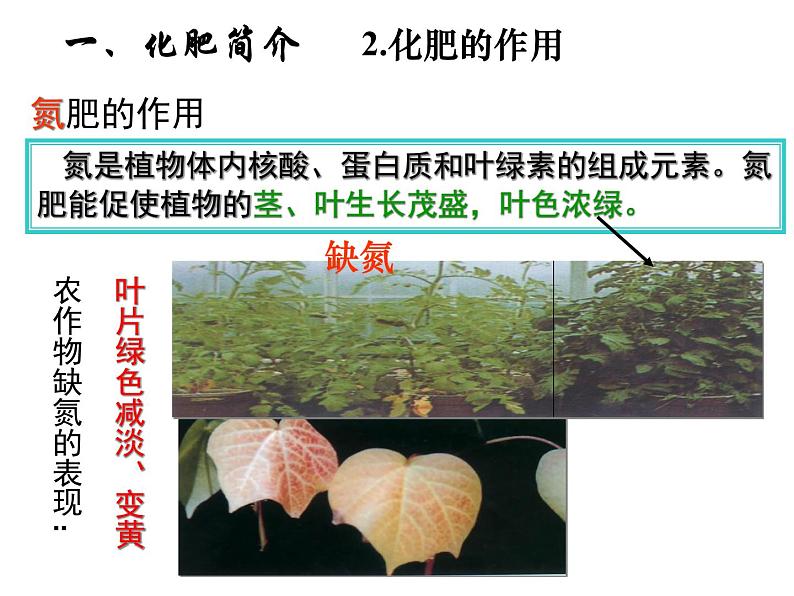 北京课改版九下化学 12.3化学肥料 课件04