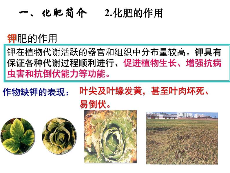 北京课改版九下化学 12.3化学肥料 课件06