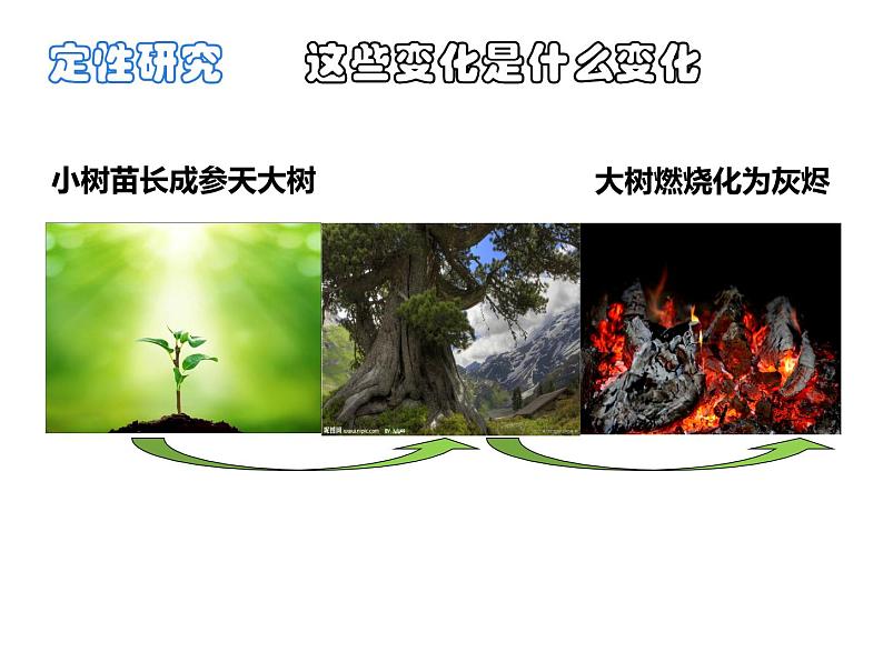 鲁教版（五四制）八年级化学 5.1化学反应中的质量守恒 课件02