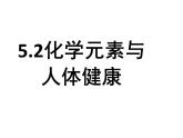 鲁教版（五四制）九年级化学 5.2化学元素与人体健康 课件