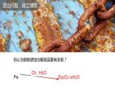鲁教版（五四制）九年级化学 4.3钢铁的锈蚀与防护 课件
