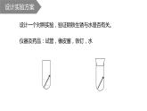 鲁教版（五四制）九年级化学 4.3钢铁的锈蚀与防护 课件