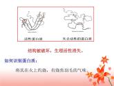 鲁教版（五四制）九年级化学 5.3远离有毒物质 课件