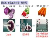 魯教版（五四制）九年級化學(xué) 2.3溶液的酸堿性 課件