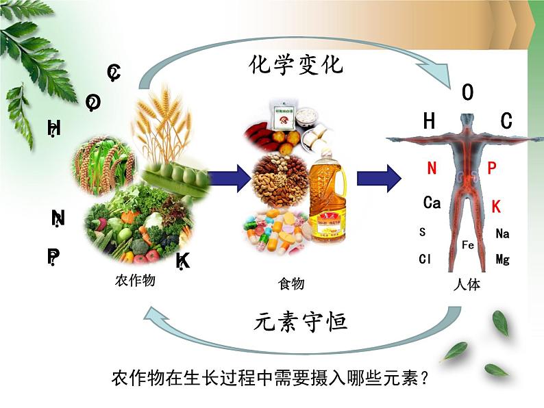 鲁教版（五四制）九年级化学 6.3化学与农业生产 课件02