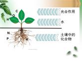 魯教版（五四制）九年級化學(xué) 6.3化學(xué)與農(nóng)業(yè)生產(chǎn) 課件