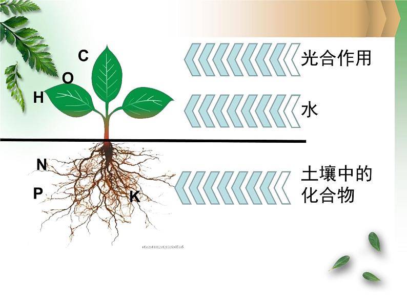 鲁教版（五四制）九年级化学 6.3化学与农业生产 课件03