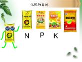 魯教版（五四制）九年級化學(xué) 6.3化學(xué)與農(nóng)業(yè)生產(chǎn) 課件