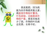 魯教版（五四制）九年級化學(xué) 6.3化學(xué)與農(nóng)業(yè)生產(chǎn) 課件