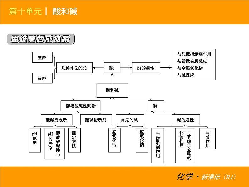 人教版（五四制）九年级化学 3.1.2 常见的酸和碱 课件02