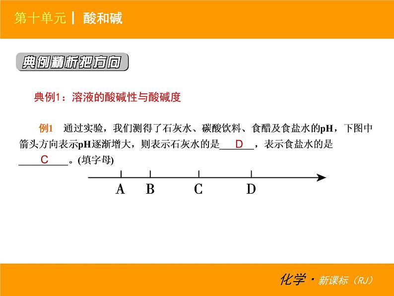 人教版（五四制）九年级化学 3.1.2 常见的酸和碱 课件06