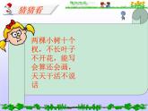 人教版（五四制）九年级化学 3.1.1 常见的酸和碱 课件