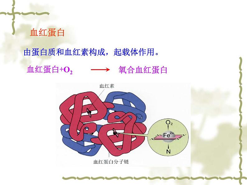 人教版（五四制）九年级化学 5.1 人类重要的营养物质 课件06