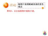 北京课改版九下化学 11.1对酸和碱的初步认识 课件