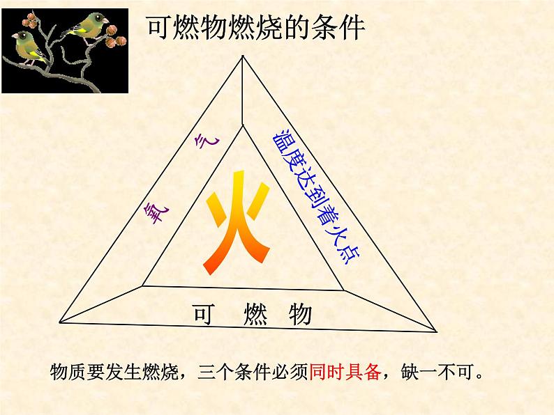 初中化学 人教2011课标版 八年级 课题1 燃烧和灭火 省优课件06