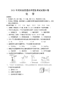 2021年河南省中考化学真题（B卷）（word版有答案）