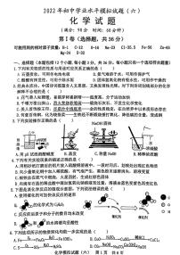 2022年山东省日照市初中学业水平模拟考试化学试题（无答案）