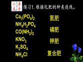 初中化学北京版九年级下册 《化学肥料》部优课件
