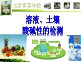 初中化學(xué)人教版九年級 實驗活動7 溶液、土壤酸堿性的檢測部優(yōu)課件