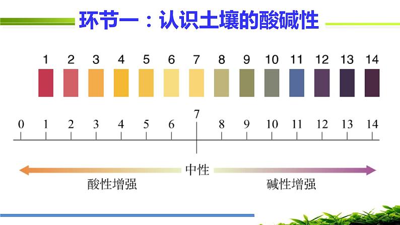 初中化学人教版九年级 实验活动7 溶液、土壤酸碱性的检测部优课件03