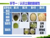 初中化學(xué)人教版九年級 實驗活動7 溶液、土壤酸堿性的檢測部優(yōu)課件