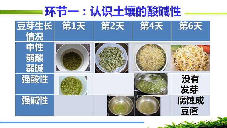 初中化学人教版九年级 实验活动7 溶液、土壤酸碱性的检测部优课件04