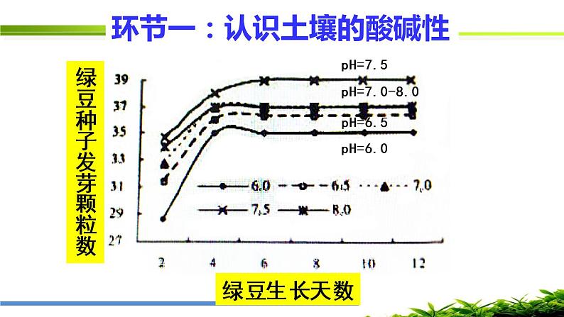 初中化学人教版九年级 实验活动7 溶液、土壤酸碱性的检测部优课件05