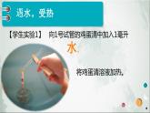初中化學(xué)滬教版九年級下冊 脂肪、蛋白質(zhì) 蛋白質(zhì)-雞蛋奇遇記部優(yōu)課件