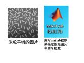 初中化学沪教版九年级上册 物质的量部优课件