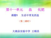 人教版九年级化学生活中常见的盐第二课时课件PPT