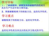 人教版九年级化学生活中常见的盐第二课时课件PPT
