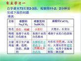 人教版九年级化学生活中常见的盐第二课时课件PPT