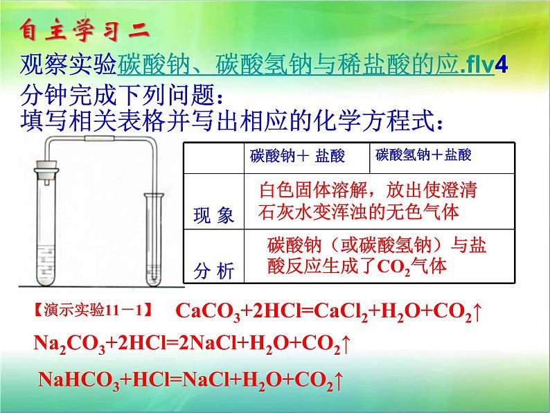 人教版九年级化学生活中常见的盐第二课时课件PPT06