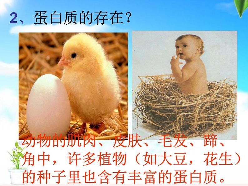 人教版九年级化学下册 第十二单元人类重要的营养物质（共33张PPT）第7页