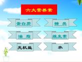 人教版九年级化学下册第12单元课题1人类重要的营养物质（共33张PPT）